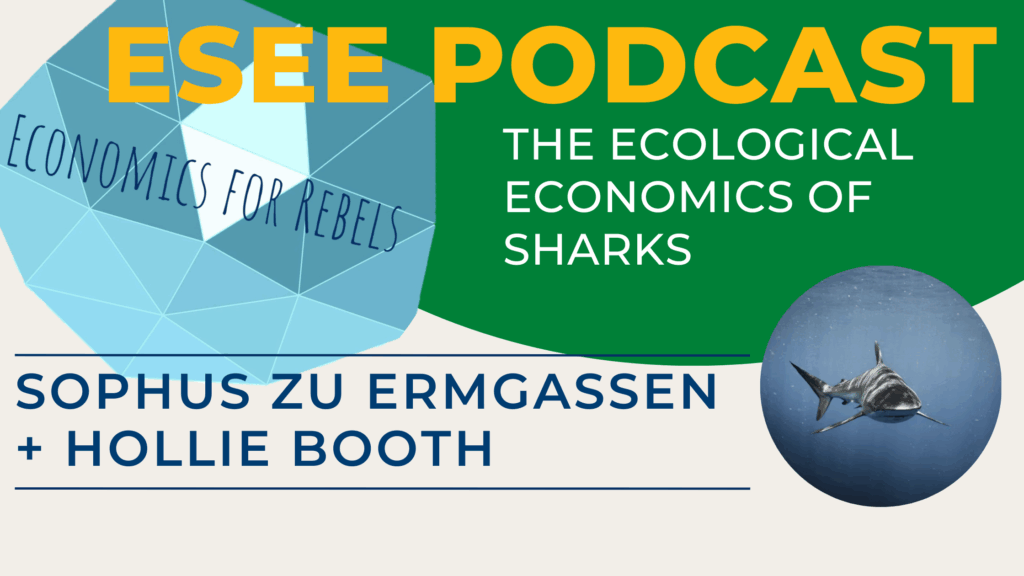 ESEE podcast shark ecology hollie booth