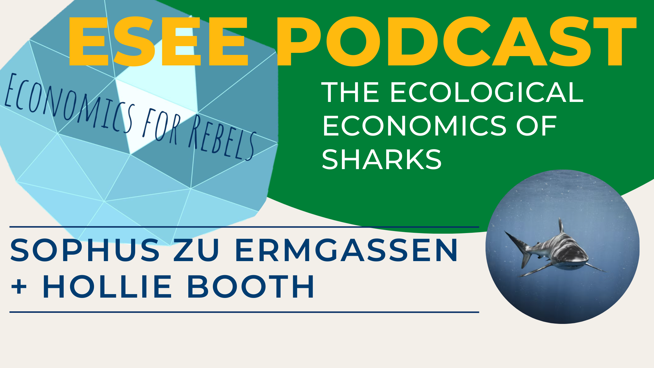 ESEE podcast shark ecology hollie booth