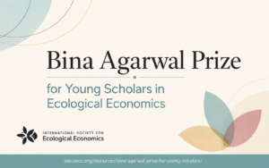 bina agarwal prize 2026